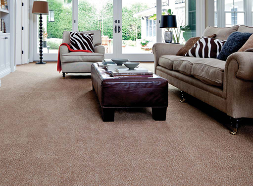 Living room scene with brown Stainmaster carpet